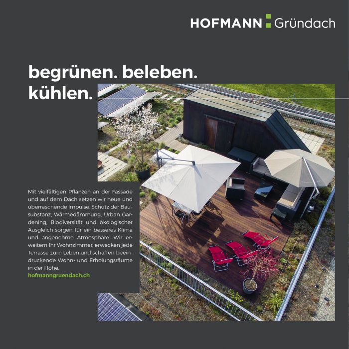 HofmannGruppe Broschüre Seite8 Gründach
